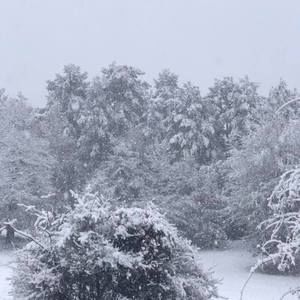 Meet your Posher, Maddie